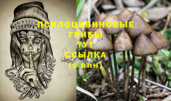 не бодяженный Верхний Тагил