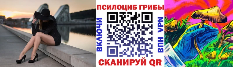 это состав  где продают   Кизляр  Галлюциногенные грибы MAGIC MUSHROOMS 