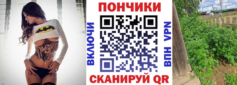 mega маркетплейс  Кизляр  Каннабис индика  где найти наркотики 